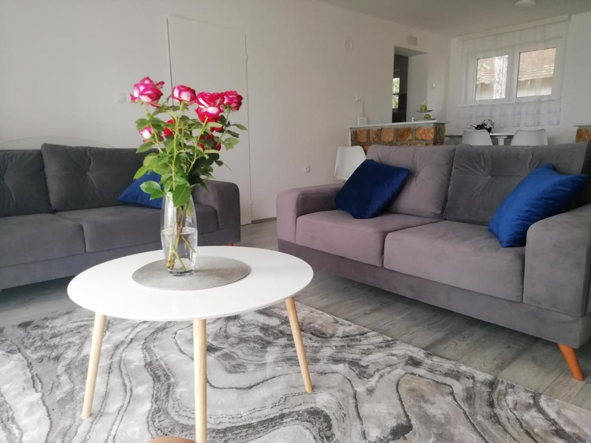 Fenix Apartment & Rooms Vinci 외부 사진