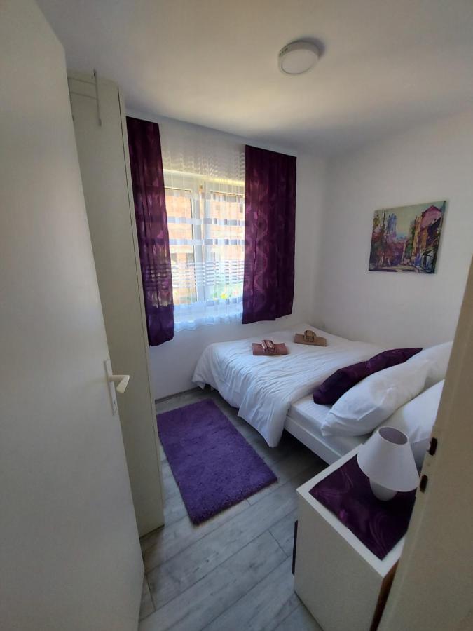 Fenix Apartment & Rooms Vinci 외부 사진