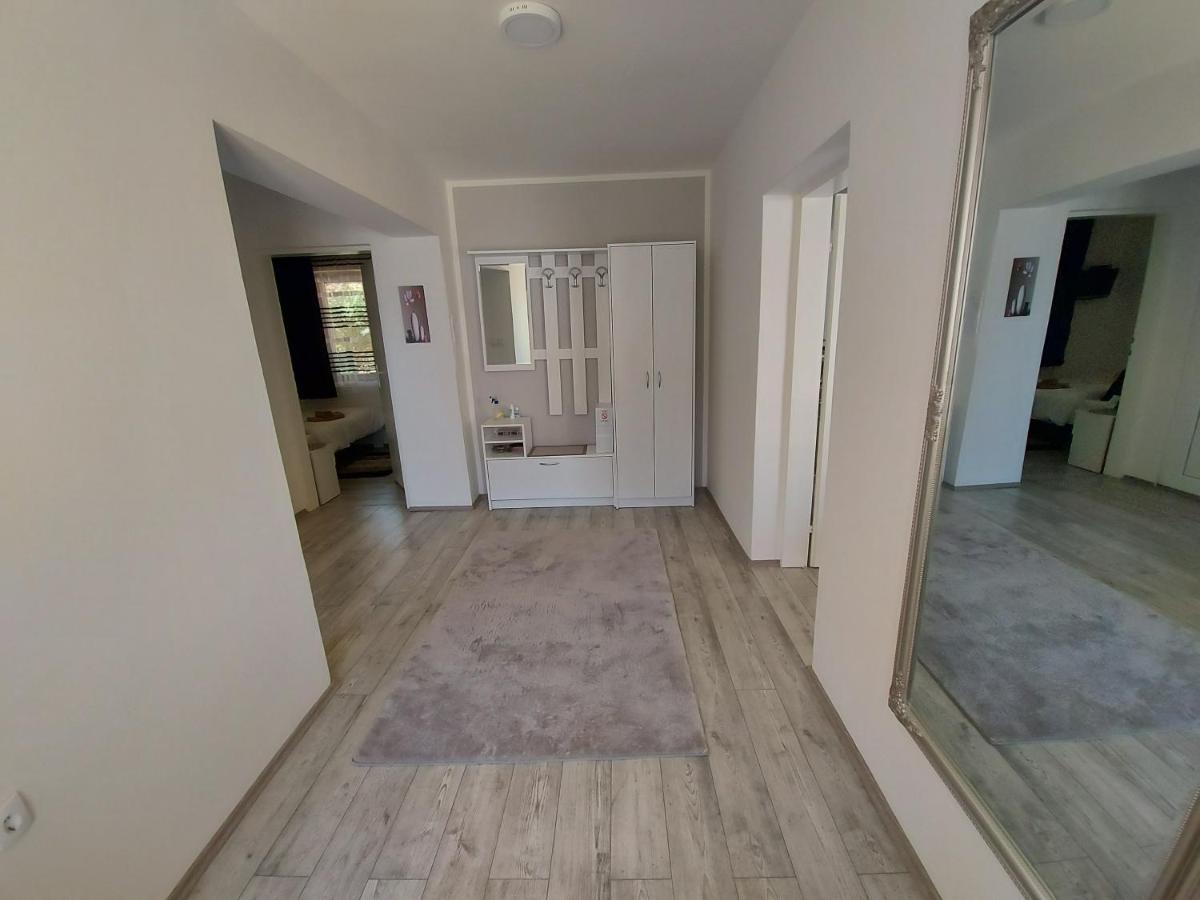 Fenix Apartment & Rooms Vinci 외부 사진