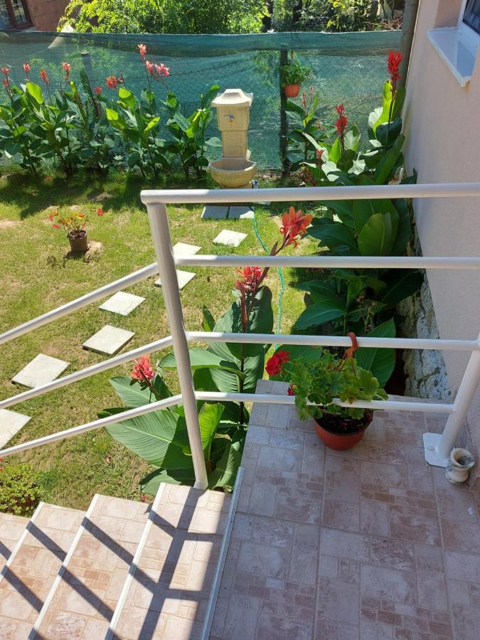 Fenix Apartment & Rooms Vinci 외부 사진