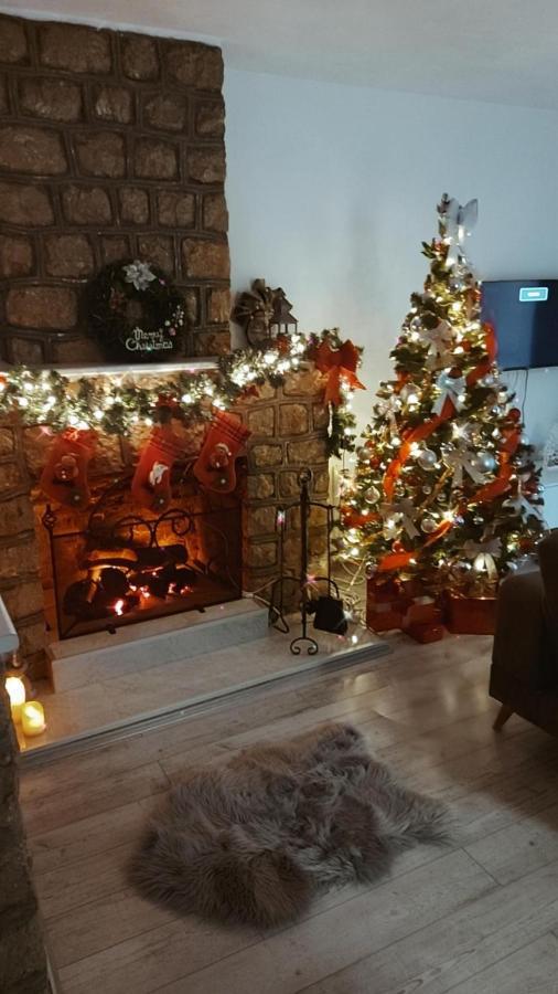 Fenix Apartment & Rooms Vinci 외부 사진