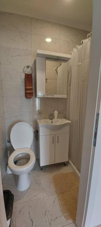 Fenix Apartment & Rooms Vinci 외부 사진